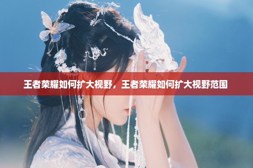 王者荣耀如何扩大视野，王者荣耀如何扩大视野范围 