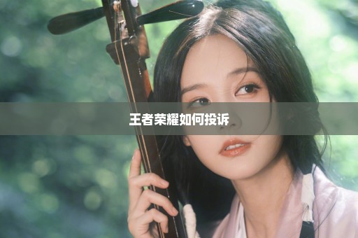 王者荣耀如何投诉