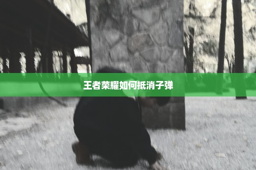 王者荣耀如何抵消子弹