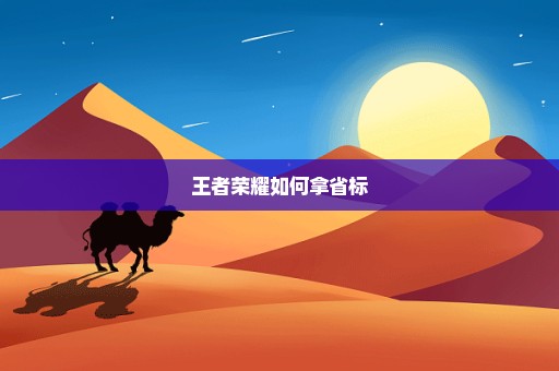 王者荣耀如何拿省标