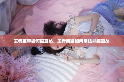 王者荣耀如何探草丛，王者荣耀如何用技能探草丛 