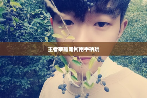 王者荣耀如何用手柄玩