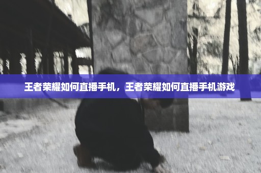 王者荣耀如何直播手机，王者荣耀如何直播手机游戏 