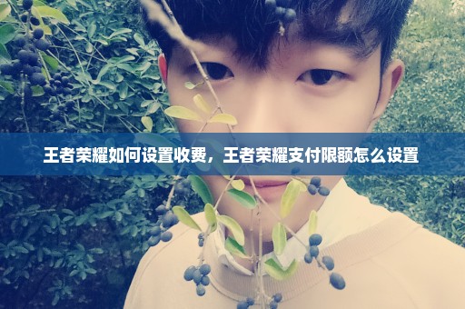 王者荣耀如何设置收费，王者荣耀支付限额怎么设置 