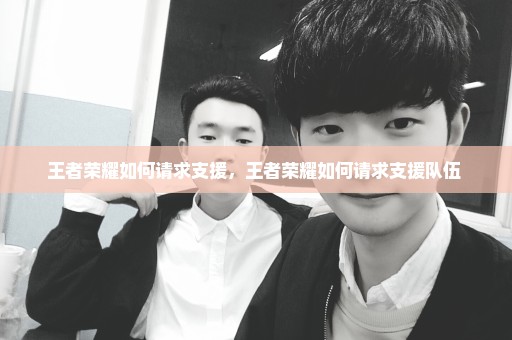 王者荣耀如何请求支援，王者荣耀如何请求支援队伍 