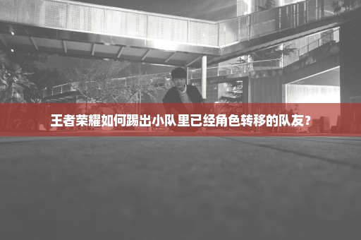 王者荣耀如何踢出小队里已经角色转移的队友？