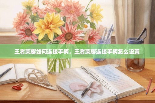 王者荣耀如何连接手柄，王者荣耀连接手柄怎么设置 