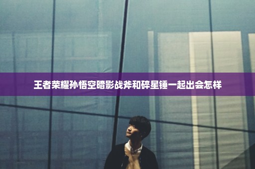 王者荣耀孙悟空暗影战斧和碎星锤一起出会怎样