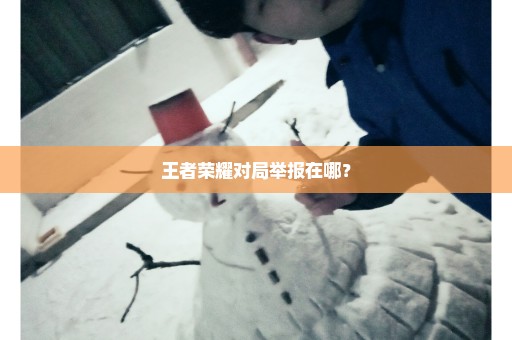 王者荣耀对局举报在哪？