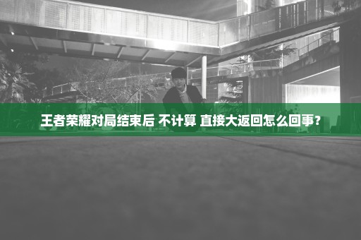 王者荣耀对局结束后 不计算 直接大返回怎么回事？