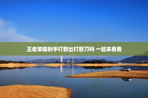 王者荣耀射手打野出打野刀吗 一起来看看