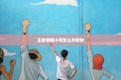 王者荣耀小号怎么升级快