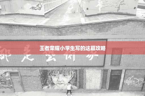 王者荣耀小学生写的这篇攻略