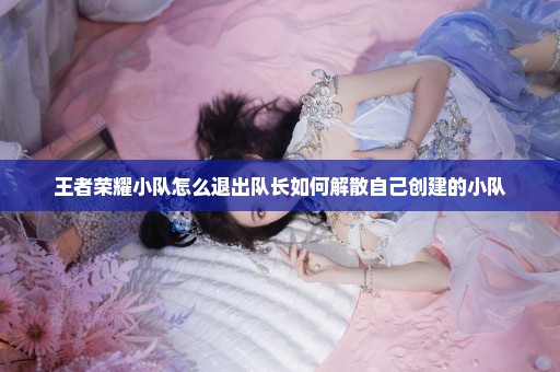 王者荣耀小队怎么退出队长如何解散自己创建的小队