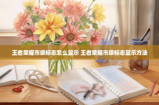 王者荣耀市级标志怎么显示 王者荣耀市级标志显示方法