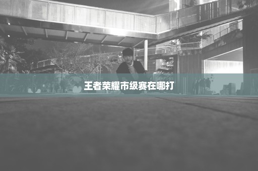 王者荣耀市级赛在哪打