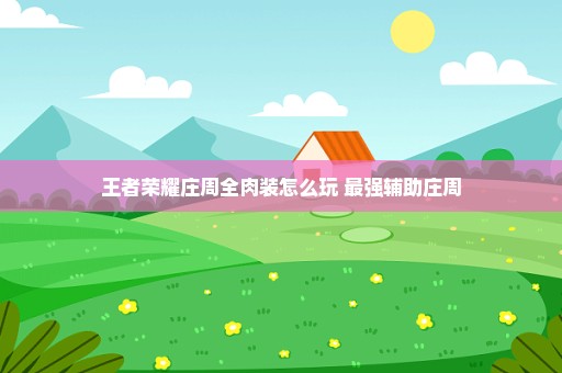 王者荣耀庄周全肉装怎么玩 最强辅助庄周