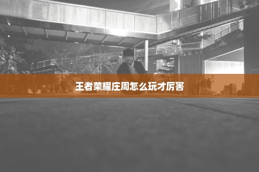 王者荣耀庄周怎么玩才厉害