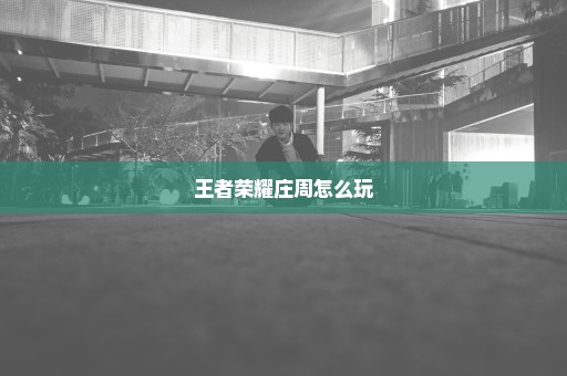 王者荣耀庄周怎么玩