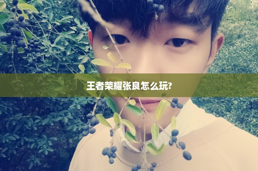 王者荣耀张良怎么玩?