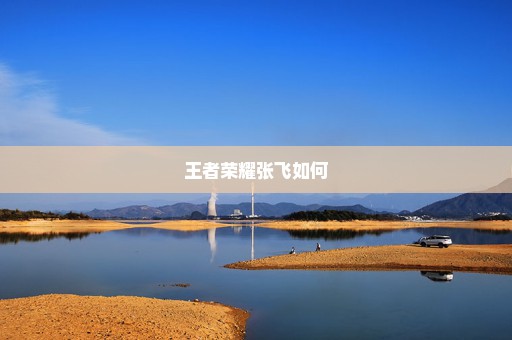 王者荣耀张飞如何