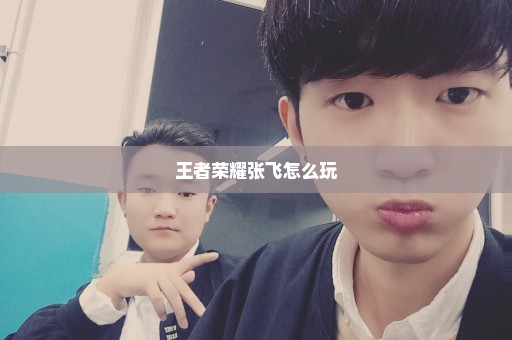 王者荣耀张飞怎么玩