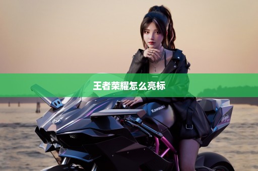 王者荣耀怎么亮标