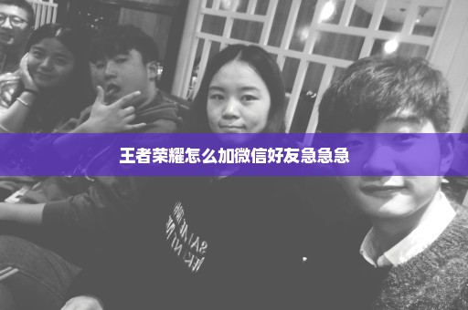 王者荣耀怎么加微信好友急急急