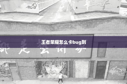 王者荣耀怎么卡bug到