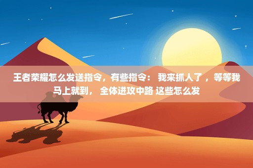 王者荣耀怎么发送指令，有些指令： 我来抓人了 ，等等我马上就到， 全体进攻中路 这些怎么发