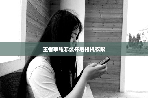 王者荣耀怎么开启相机权限