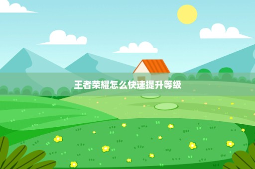 王者荣耀怎么快速提升等级