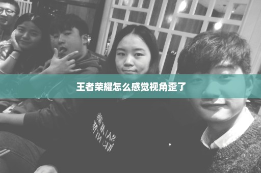 王者荣耀怎么感觉视角歪了