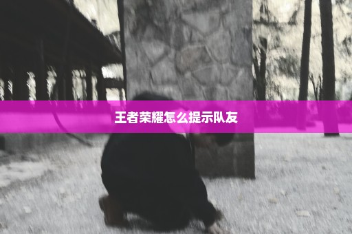 王者荣耀怎么提示队友