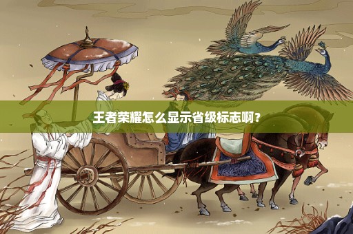 王者荣耀怎么显示省级标志啊？