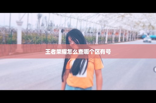 王者荣耀怎么查哪个区有号
