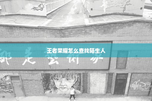 王者荣耀怎么查找陌生人