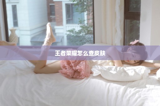 王者荣耀怎么查皮肤