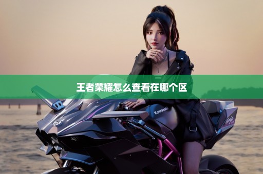王者荣耀怎么查看在哪个区