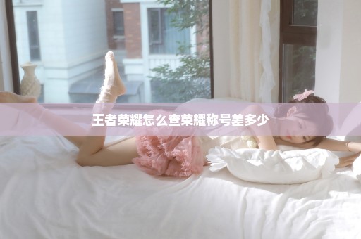 王者荣耀怎么查荣耀称号差多少