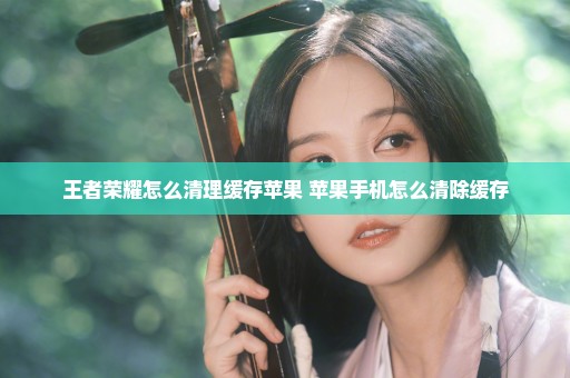 王者荣耀怎么清理缓存苹果 苹果手机怎么清除缓存