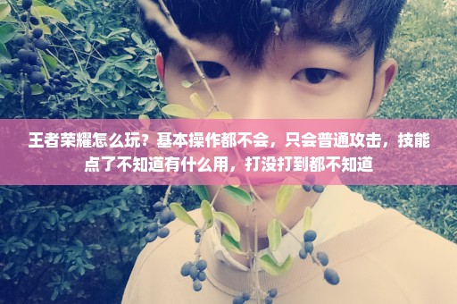 王者荣耀怎么玩？基本操作都不会，只会普通攻击，技能点了不知道有什么用，打没打到都不知道