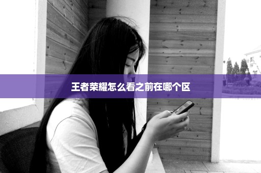 王者荣耀怎么看之前在哪个区