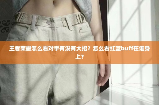 王者荣耀怎么看对手有没有大招？怎么看红蓝buff在谁身上？