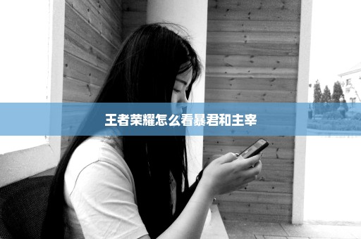 王者荣耀怎么看暴君和主宰