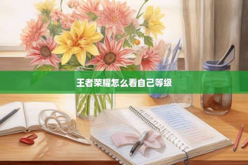王者荣耀怎么看自己等级