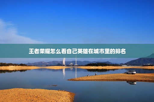 王者荣耀怎么看自己英雄在城市里的排名