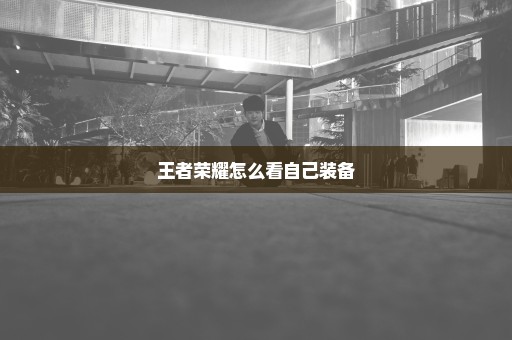 王者荣耀怎么看自己装备