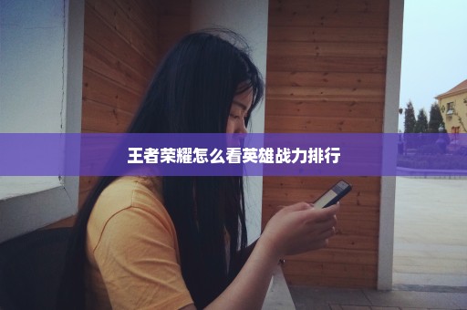 王者荣耀怎么看英雄战力排行