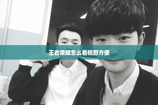 王者荣耀怎么看视野方便